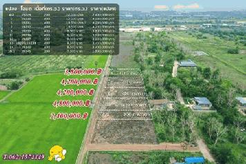 ที่ดินหลังตลาดนัดคลอง 8 ผังม่วงและชมพูสดผ่อน T.062-1574449
